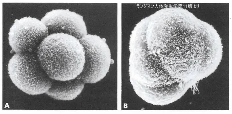 コンパクション前後