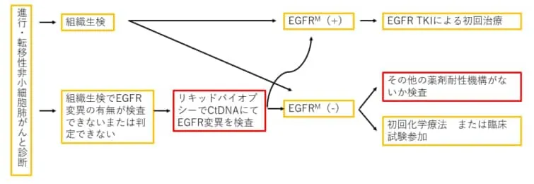 進行非小細胞肺がんと診断されたら行う組織生検またはリキッドバイオプシーでVtDNAを検査してEGFRの変異があれば抗EGFR抗体で治療することを説明するフローチャート