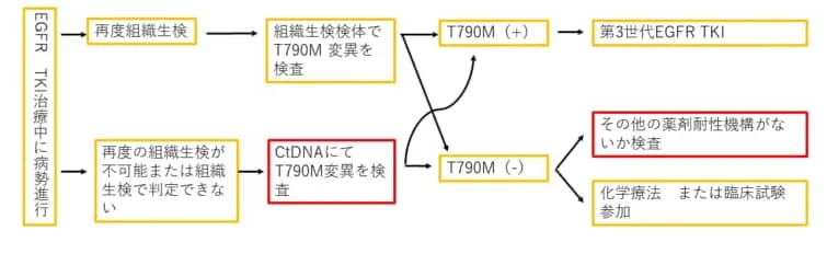 進行非小細胞肺がんの治療中に病勢が進行してしまったとき組織生検またはリキッドバイオプシーでEGFRのT790Mがあれば第3世代抗EGFR抗体治療を選択するというフローチャート