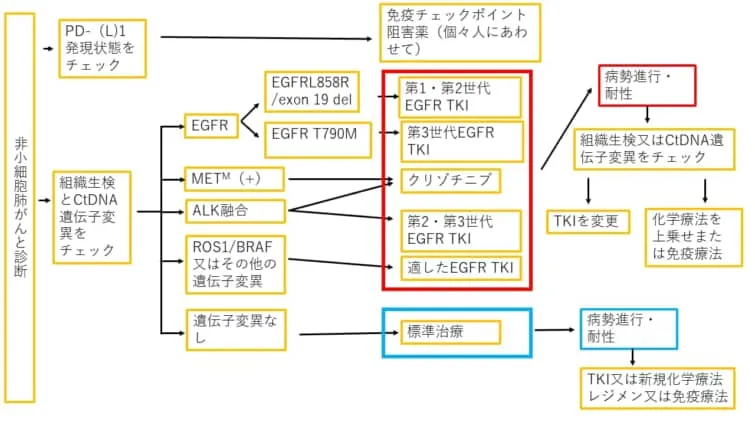 非小細胞肺がんと診断されたらPD-1発現や遺伝子変異をチェックすることで最適な治療方針を選べるフローチャート