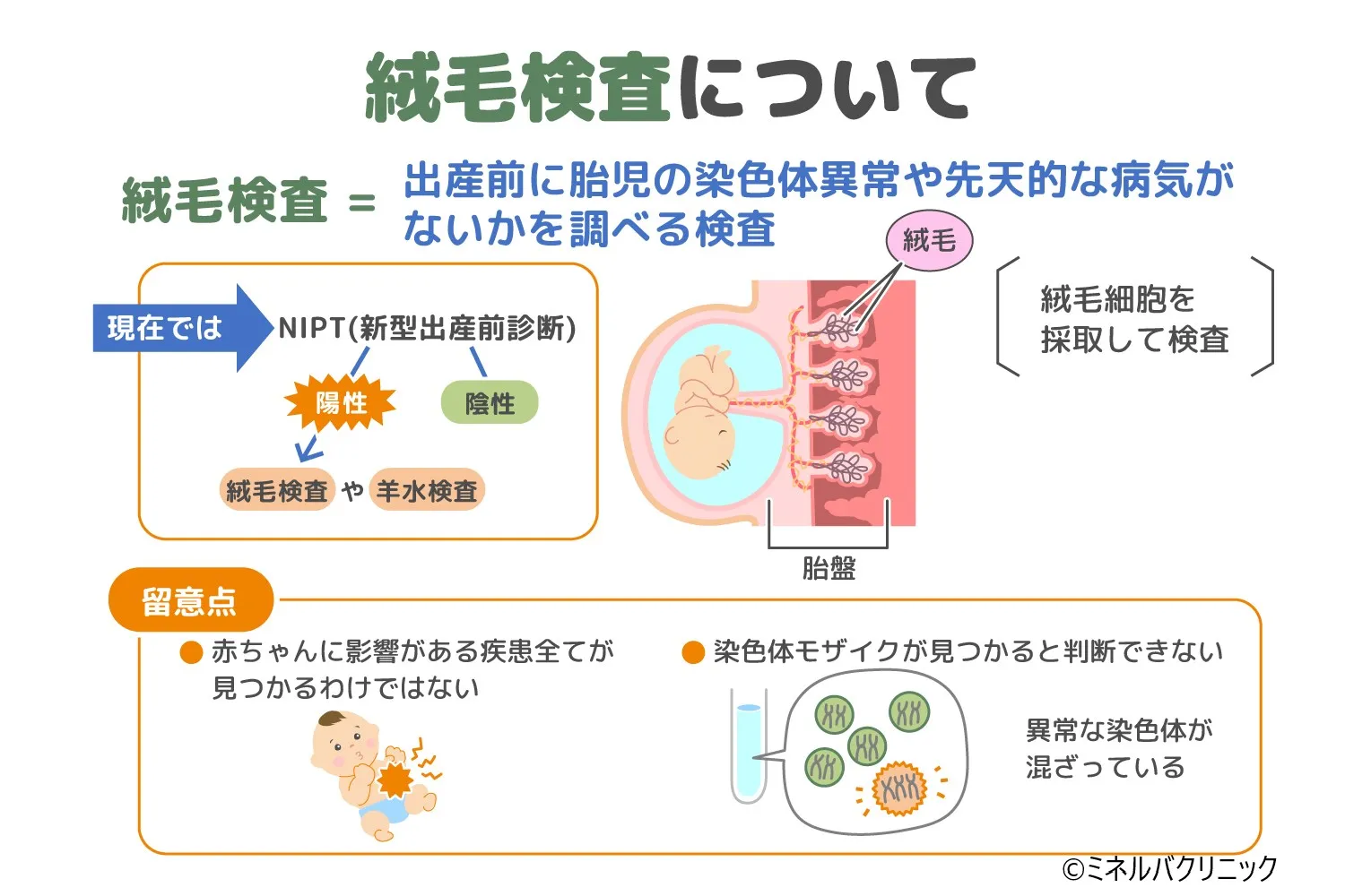 絨毛検査の方法や受診時期について詳しく解説