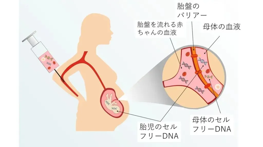 いつからいつまで