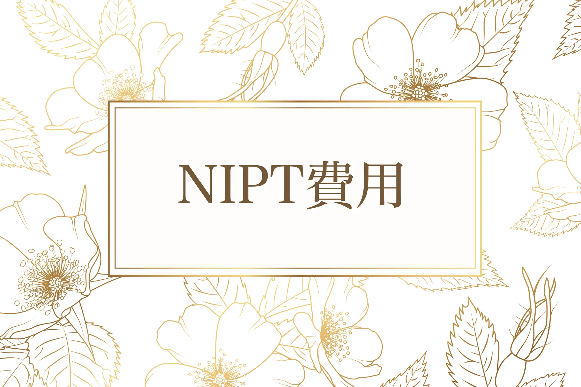 NIPT（新型出生前診断）の検査費用